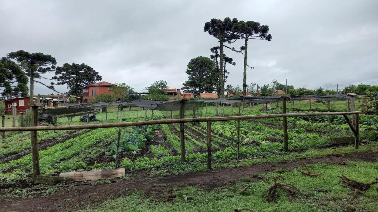 Cabanas Do Casarao Pousada Rural E Camping Cambará エクステリア 写真