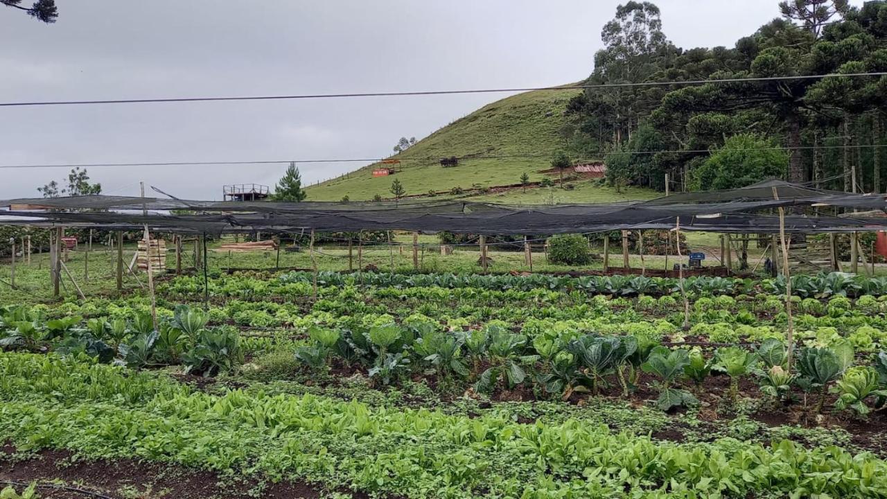 Cabanas Do Casarao Pousada Rural E Camping Cambará エクステリア 写真