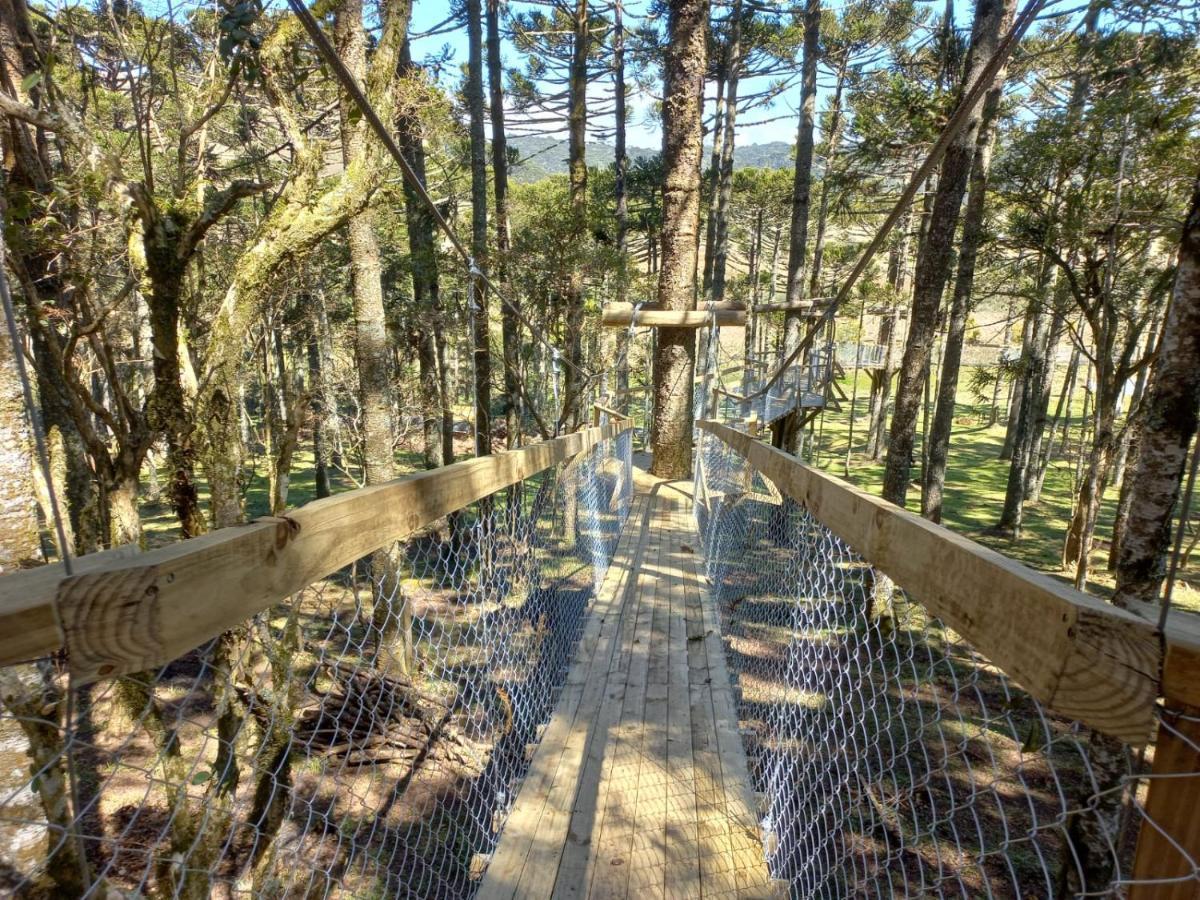 Cabanas Do Casarao Pousada Rural E Camping Cambará エクステリア 写真
