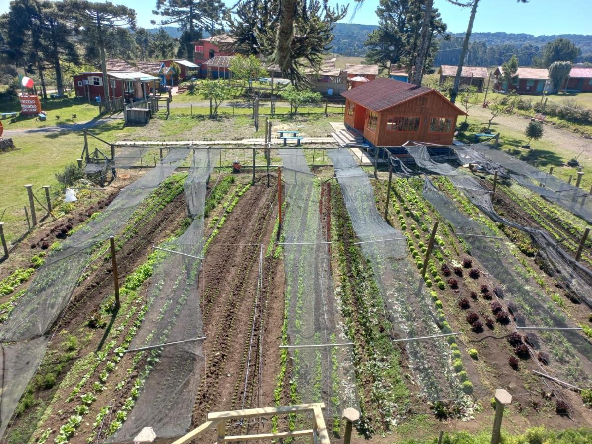 Cabanas Do Casarao Pousada Rural E Camping Cambará エクステリア 写真